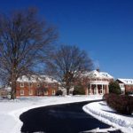 ice melt for vegetation