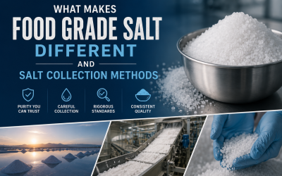 What Makes Food Grade Salt Different and Salt Collection Methods