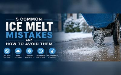 5 Common Ice Melt Mistakes and How to Avoid Them 
